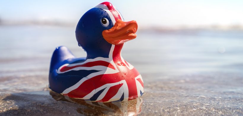 gumowa kaczka pomalowana w barwy flagi Wielkiej Brytanii pływająca po wodzie