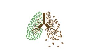 kształt ludzkich płuc ułożony z liści