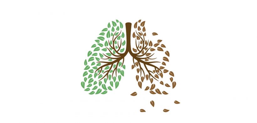 kształt ludzkich płuc ułożony z liści