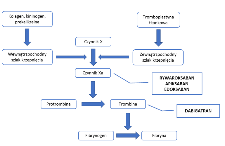 Rycina 1. - Bezpieczeństwo stosowania antagonistów witaminy K i bezpośrednich doustnych antykoagulantów – cz. 1