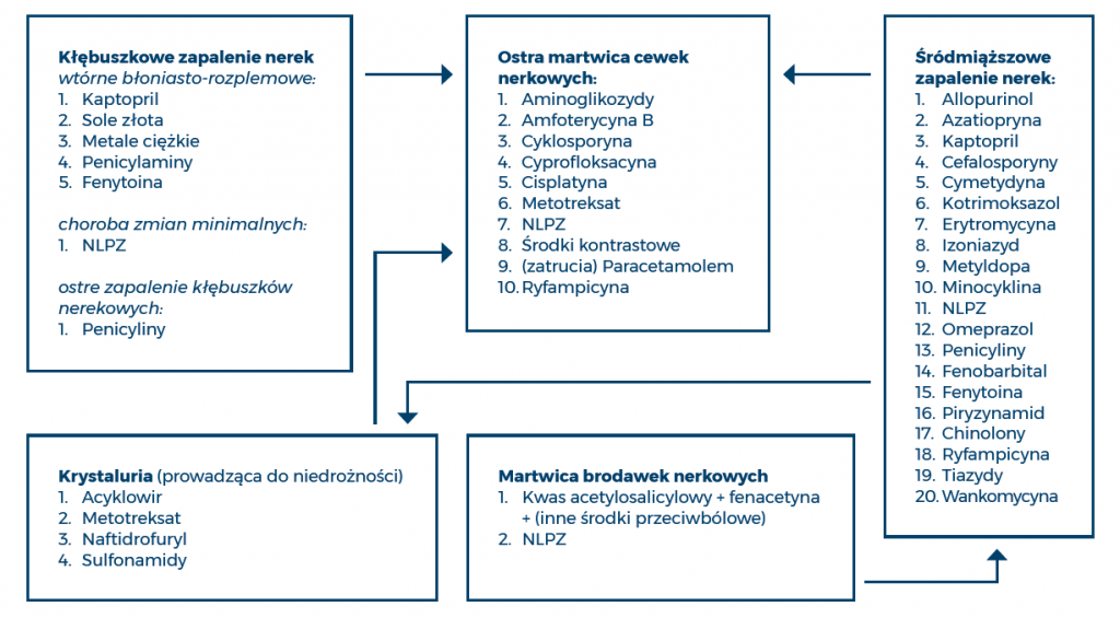 Ryc. 2 1024x565 - Ogólne zasady dawkowania leków u pacjentów z niewydolnością nerek poddawanych leczeniu nerkozastępczym – część 2